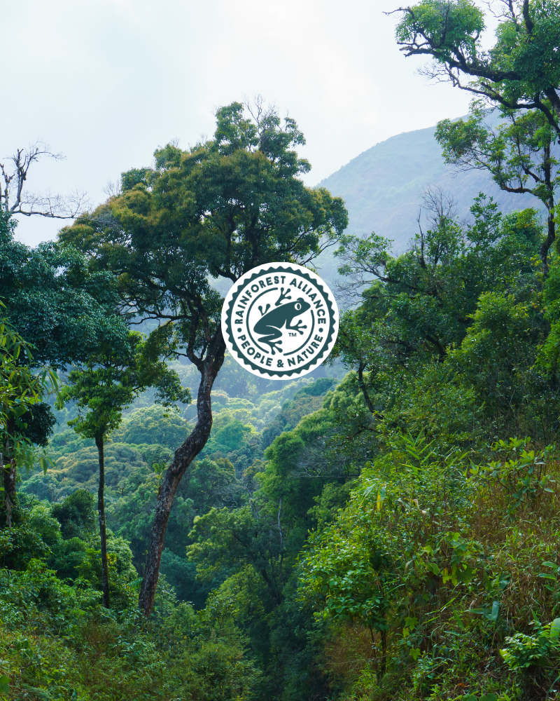 Rainforest Alliance